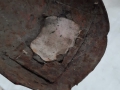 Gross-PHOTO-2025-08-18-11-34-46