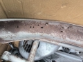 Gross-PHOTO-2025-08-18-11-35-52-3