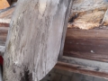 Gross-PHOTO-2025-08-18-11-35-55-3